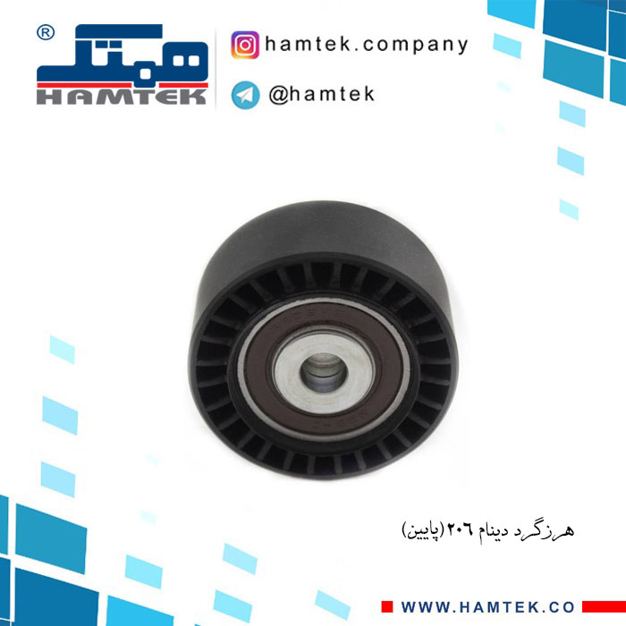 هرزگرد دینام 206 پایین